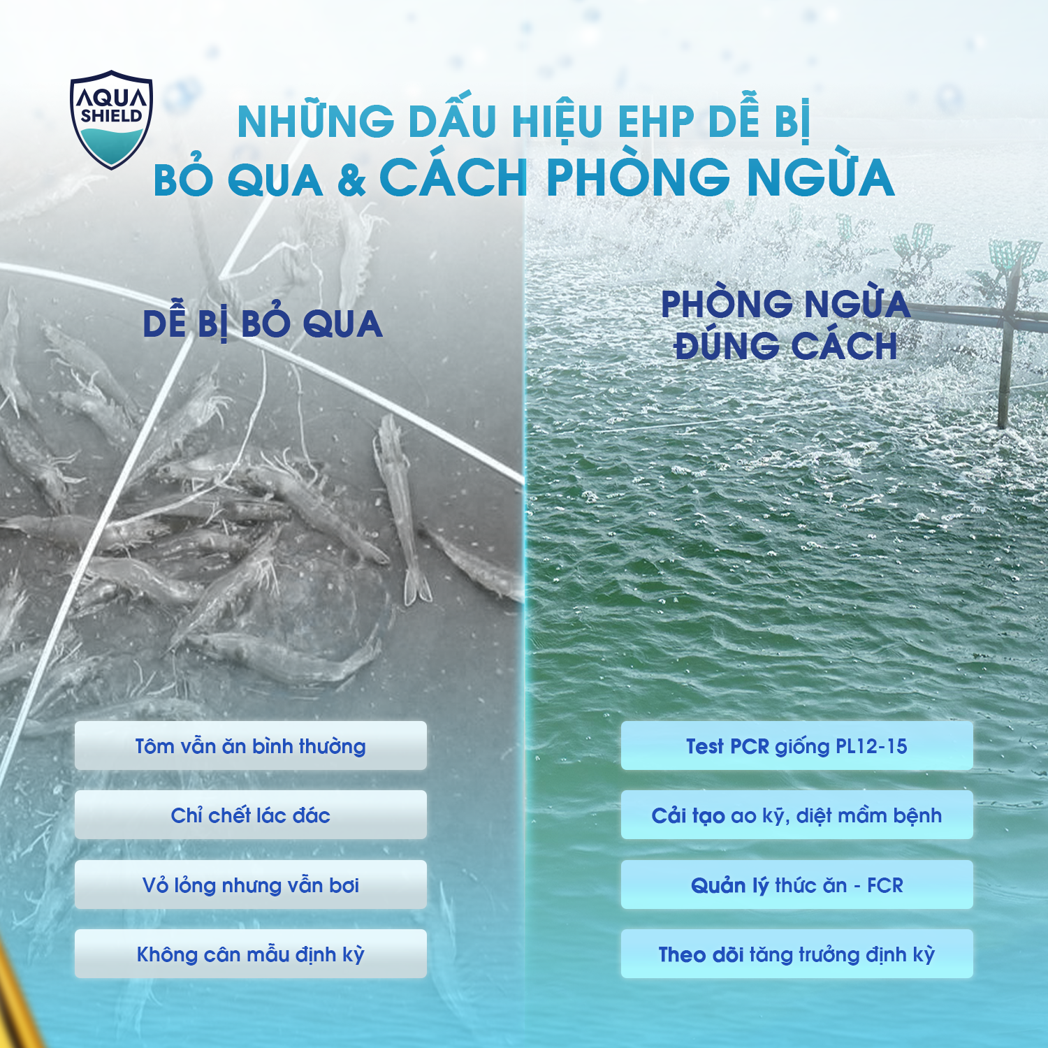 NHỮNG DẤU HIỆU EHP DỄ BỊ BỎ QUA & CÁCH PHÒNG NGỪA 