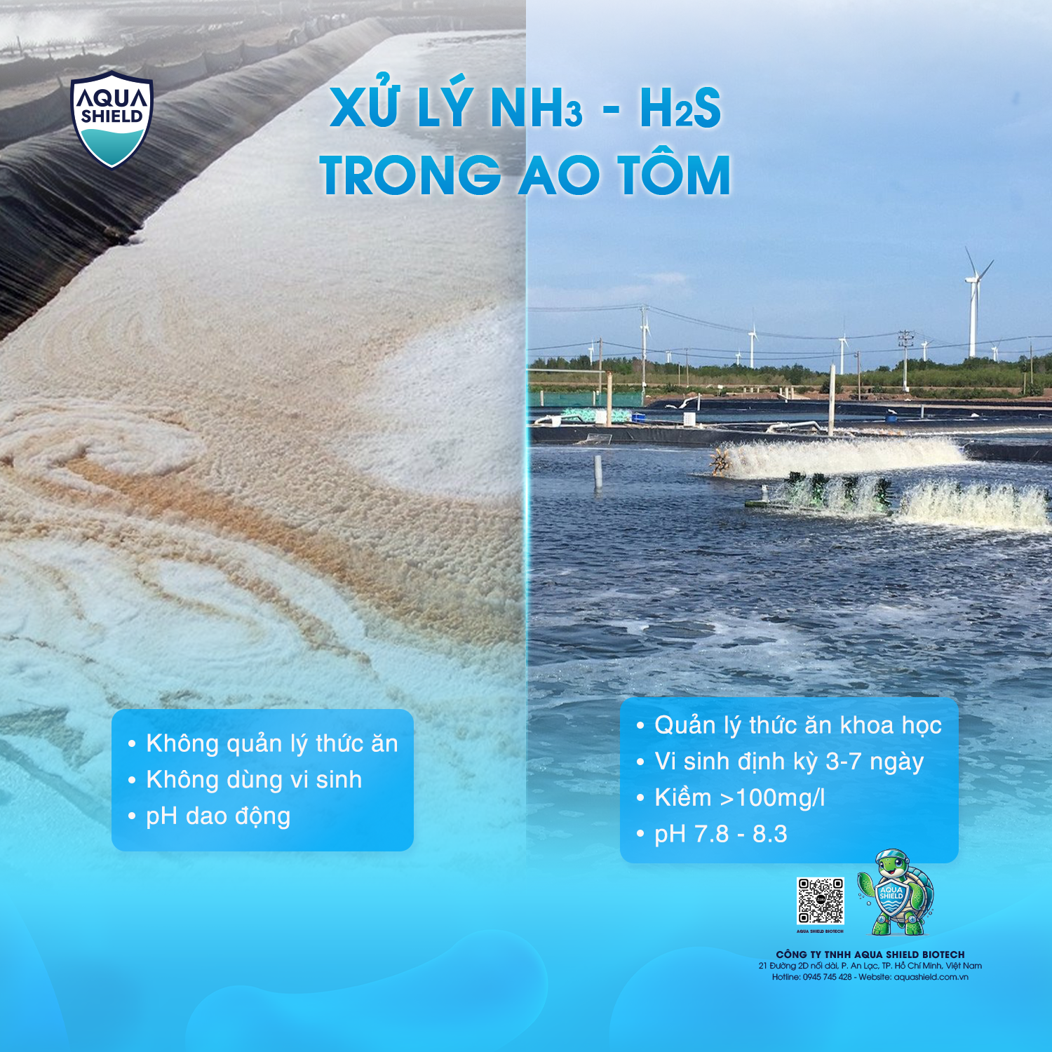 GIẢI PHÁP LÂU DÀI – PHÒNG NGỪA BỀN VỮNG