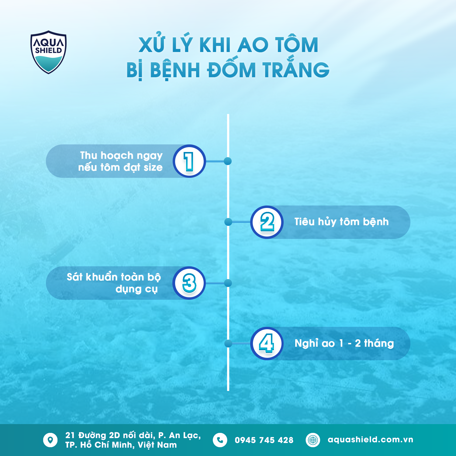 Xử lý ao khi bị đốm trắng 