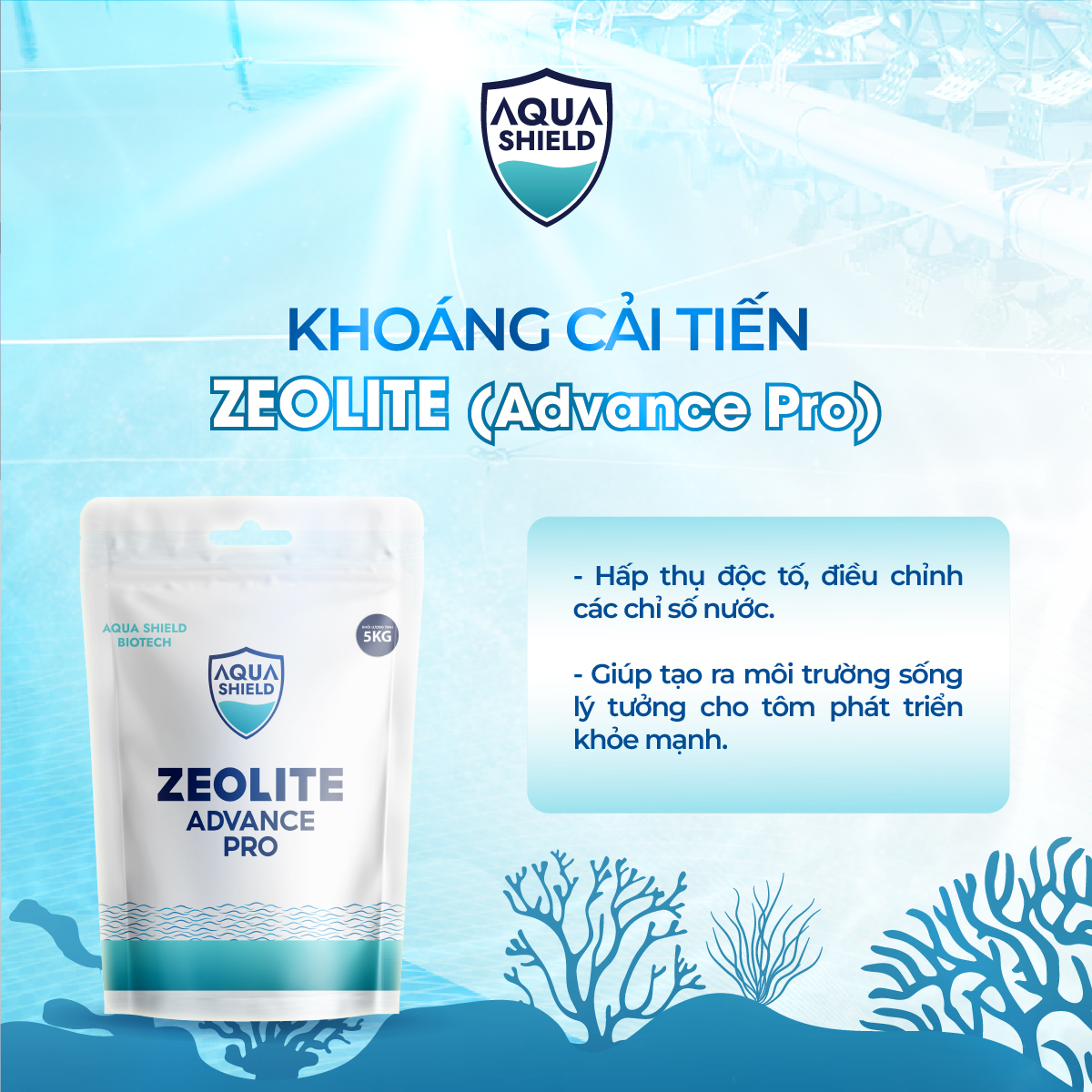 ZEOLITE ADVANCE PRO - ZEO CẢI TIẾN LẮNG VÀ TẠO MÀU NƯỚC