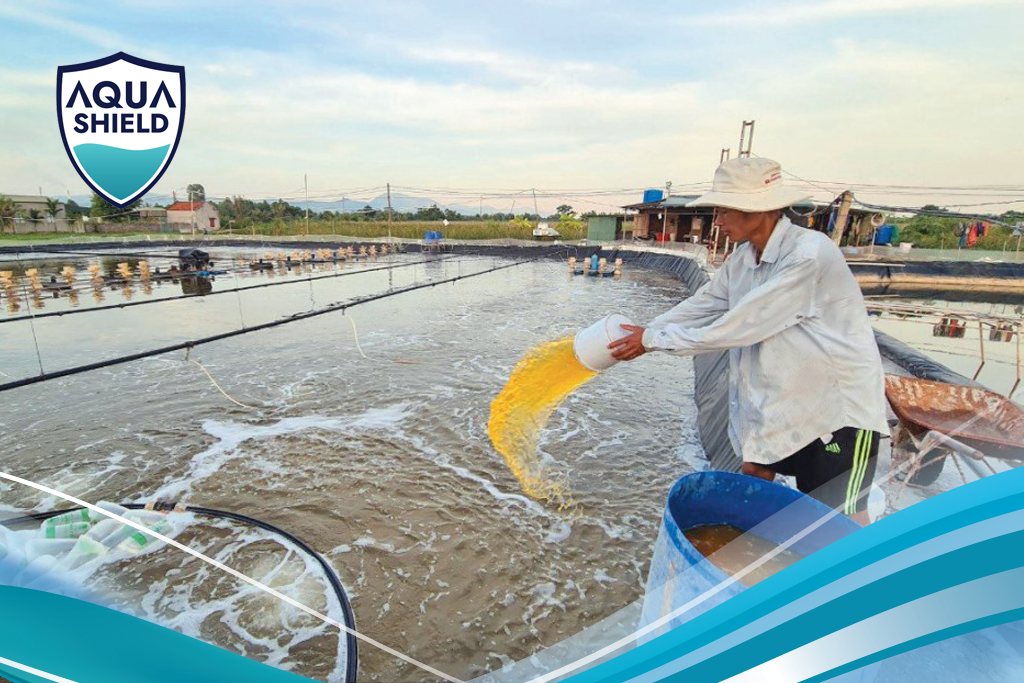 Hướng Dẫn Ứng Dụng Chế Phẩm Sinh Học Hiệu Quả