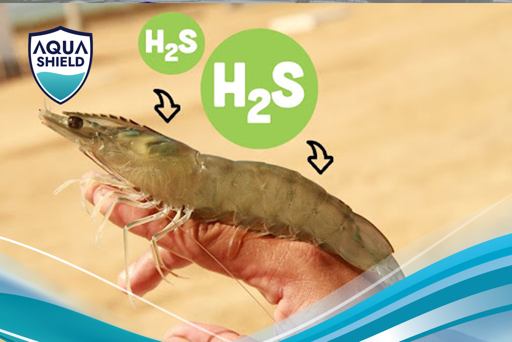 H₂S - Sát Thủ Mùi Trứng Thối