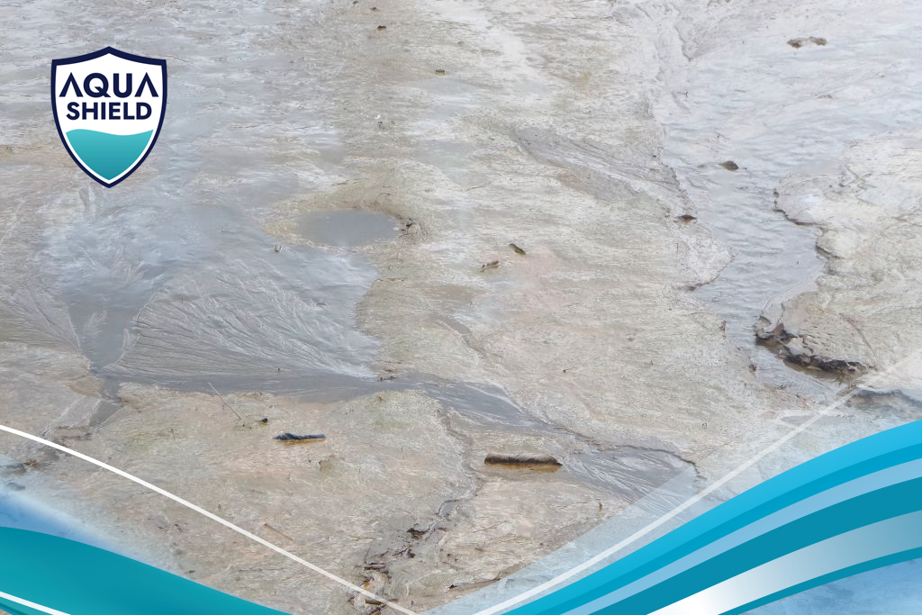 Kiểm Soát Khí Độc (NH3/NO2)