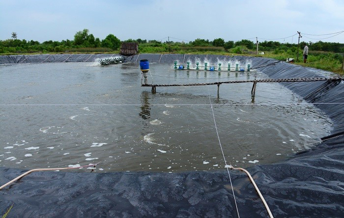 Thường xuyên quan trắc môi trường nước giúp phát hiện sớm rủi ro và xử lý kịp thời