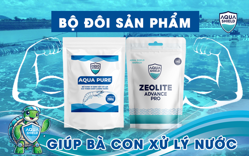 CÁC SẢN PHẨM CỦA AQUA SHIELD BIOTECH HỖ TRỢ CHO BÀ CON XỬ LÝ NƯỚC VÀ AO LẮNG