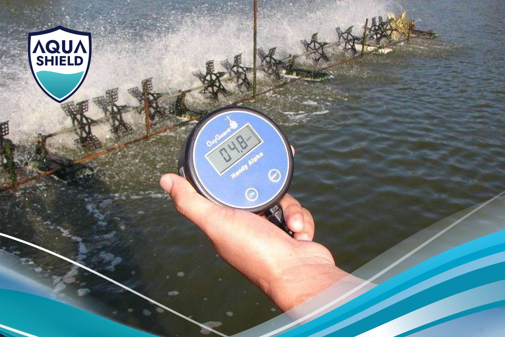 Tại Sao Độ Mặn Giảm Đột Ngột Lại Nguy Hiểm Cho Tôm 