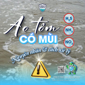 Ao có mùi hôi: Nguyên nhân & cách xử lý hiệu quả