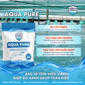 AQUA PURE – Giải Pháp Tối Ưu Kiểm Soát Vibrio và Bảo Vệ Ao Tôm