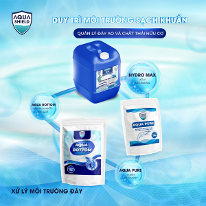 GIẢI PHÁP DUY TRÌ MÔI TRƯỜNG SẠCH KHUẨN