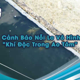 Cảnh Báo Nỗi Lo Vô Hình: "Khí Độc Trong Ao Tôm" đang Hủy Hoại Vụ Nuôi Của Bạn