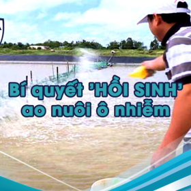 Chế phẩm sinh học 2025: Bí quyết 'HỒI SINH' ao nuôi ô nhiễm, tăng năng suất VƯỢT TRỘI