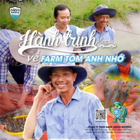 Chia sẻ nuôi tôm thành công cùng Aqua Shield của anh Nhớ ở Tiền Giang