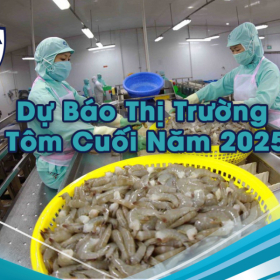 Dự Báo Thị Trường Tôm Quý 4 Cuối Năm 2025