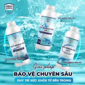 GIẢI PHÁP BẢO VỆ TÔM CHUYÊN SÂU - GAN, ĐƯỜNG RUỘT, KHOÁNG
