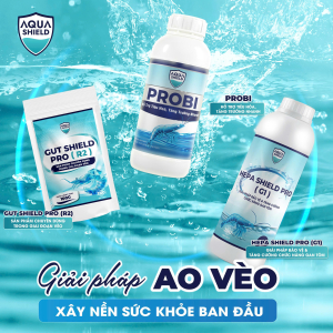 GIẢI PHÁP GIAI ĐOẠN VÈO - XÂY NỀN SỨC KHỎE BAN ĐẦU CHO TÔM