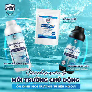 GIẢI PHÁP QUẢN LÝ MÔI TRƯỜNG AO TÔM - ỔN ĐỊNH NƯỚC VÀ KIỂM SOÁT KHUẨN