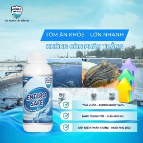 Giải pháp sinh học toàn diện giúp phòng bệnh đường ruột & phân trắng cho tôm – ENTERO SAFE