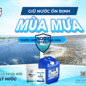 Giữ Nước Ao Ổn Định Mùa Mưa: Giải Pháp Sinh Học Toàn Diện Từ Aqua Shield 