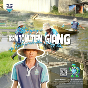  Một ngày ở farm tôm Tiền Giang – Từ bình minh đến hoàng hôn