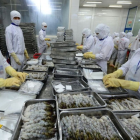 Nuôi Trồng Thủy Sản Cuối Năm 2025: 5 Bước Chuẩn Bị Then Chốt Cho Vụ Mùa Thắng Lợi