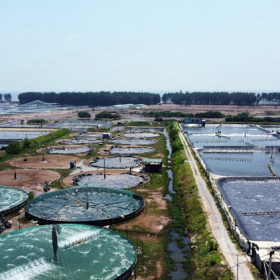 Quy hoạch vùng nuôi và bài toán lựa chọn địa hình vùng nuôi tôm tập trung phù hợp