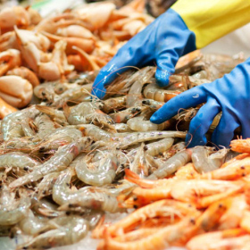 Thị trường EU là điểm tựa ổn định cho tôm Việt