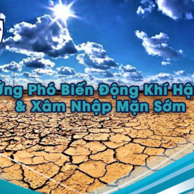 Ứng Phó Biến Động Khí Hậu & Xâm Nhập Mặn Sớm: Cẩm Nang Bảo Vệ Ao Tôm Miền Tây